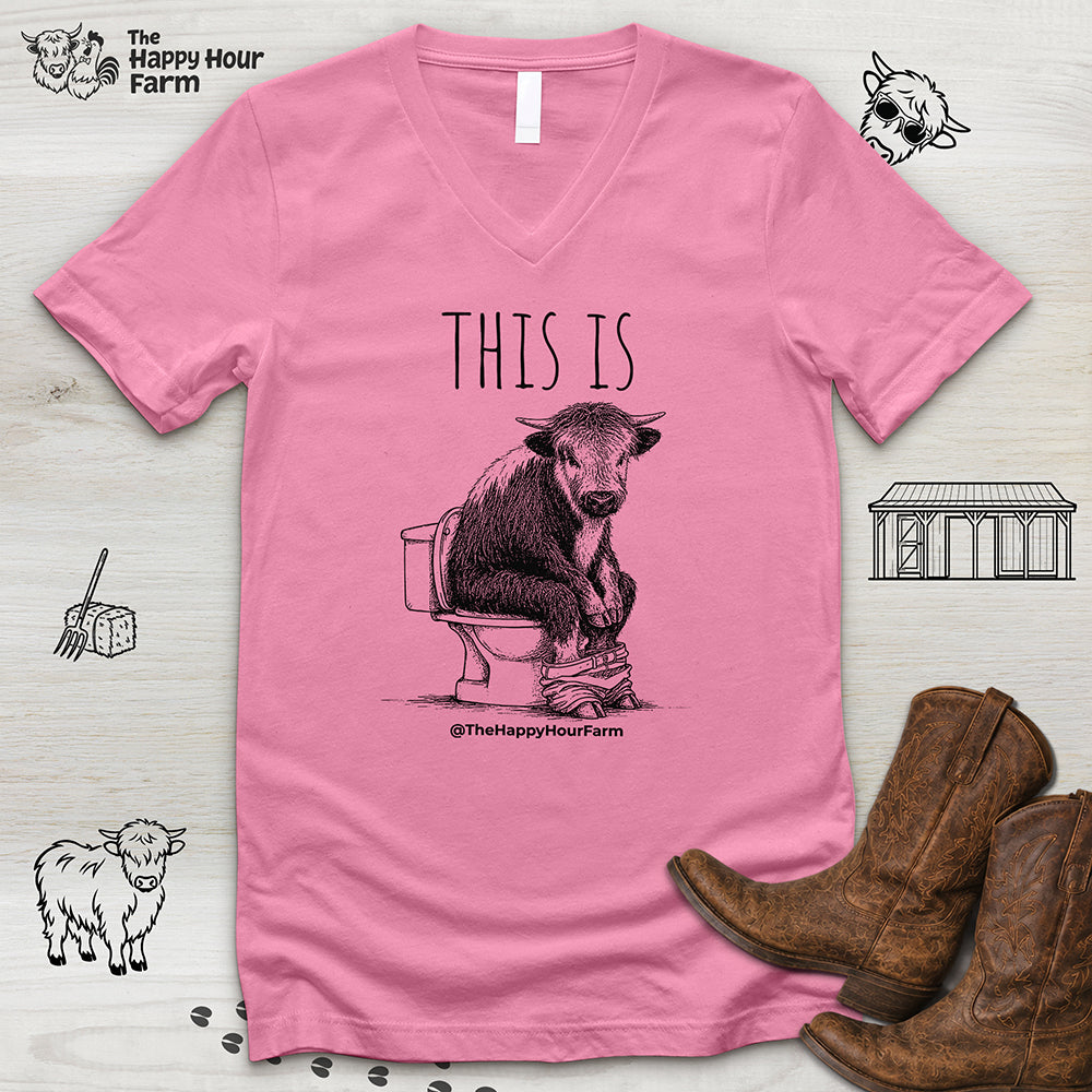 This Is Barry V-Neck Tee