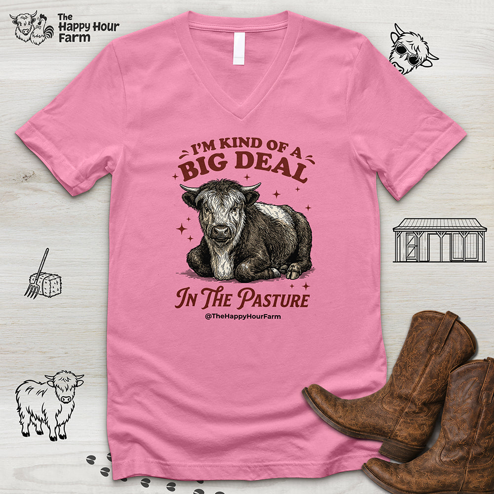 I'm Kind Of a Big Deal V-Neck Tee