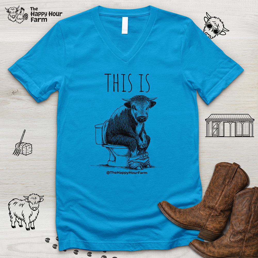 This Is Barry V-Neck Tee