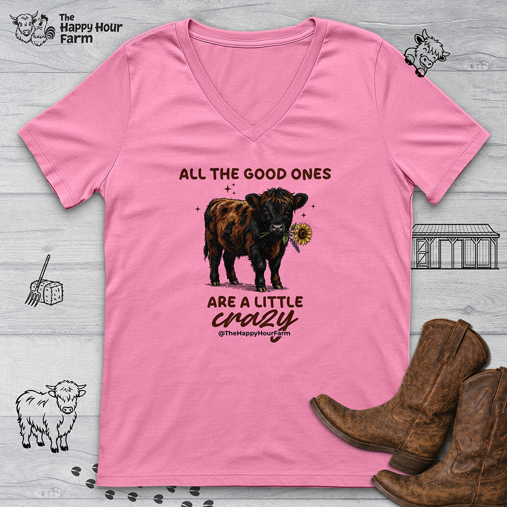 All the Good Ones Are a Little Crazy  V-Neck Tee
