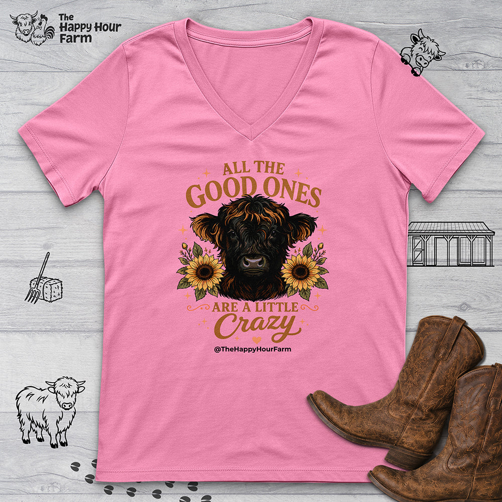 All the Good Ones V-Neck Tee