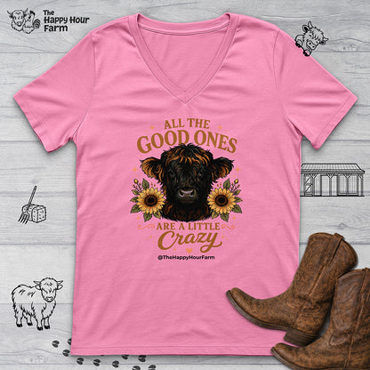 All the Good Ones V-Neck Tee