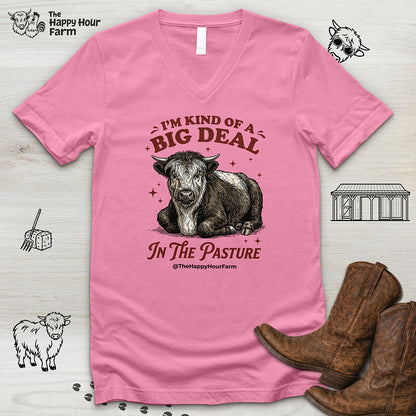 I'm Kind Of a Big Deal V-Neck Tee