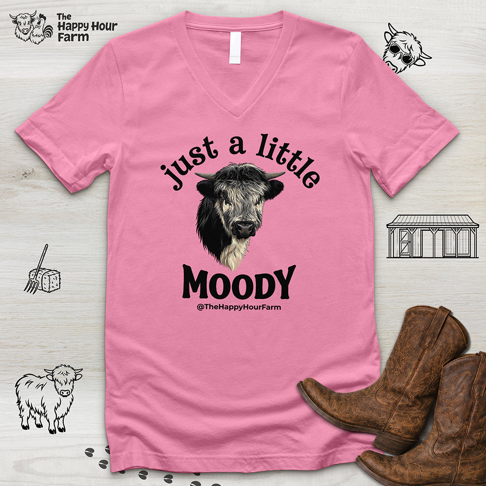 Just a Little Moody V-Neck Tee