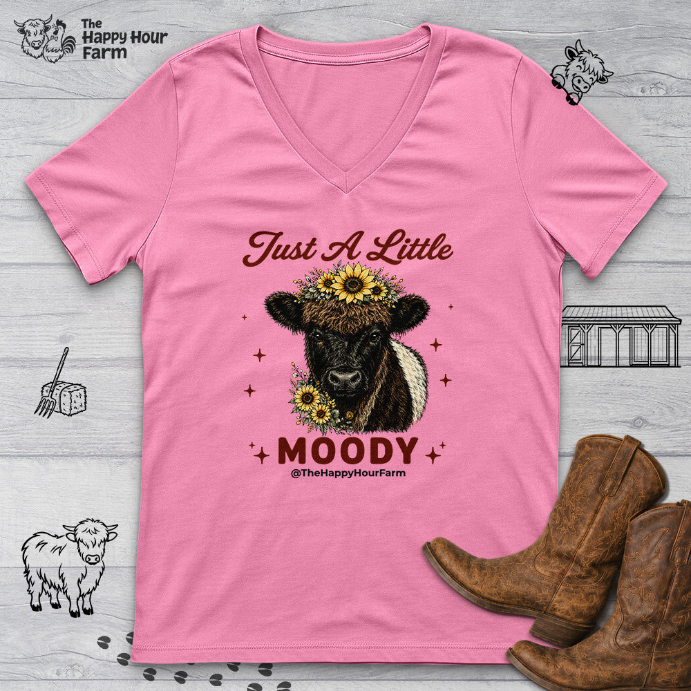 Just a Little Moody 2 V-Neck Tee