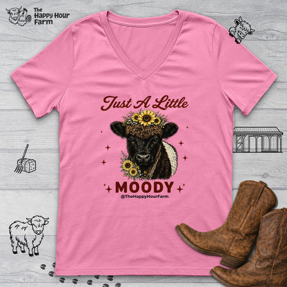 Just a Little Moody 2 V-Neck Tee