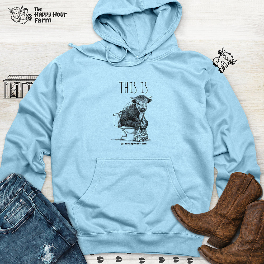 This Is Barry Hooded Sweatshirt