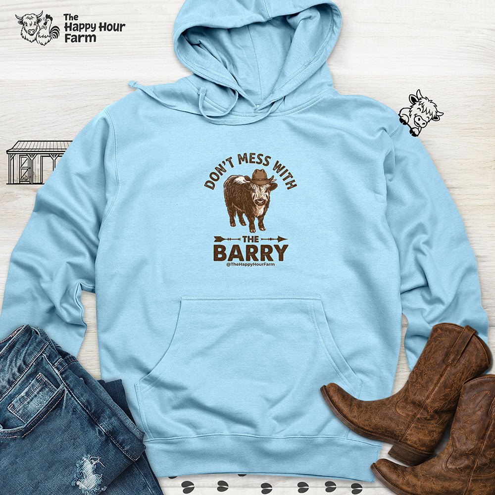 Don't Mess With the Barry Hooded Sweatshirt