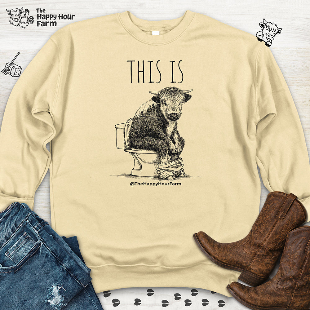 This Is Barry Sweatshirt