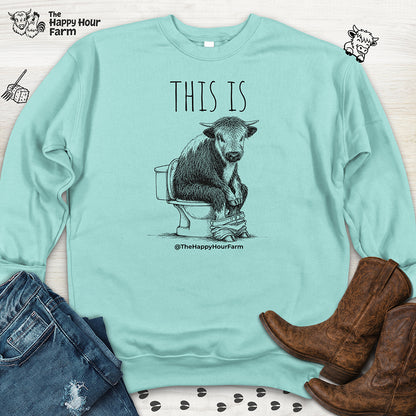 This Is Barry Sweatshirt