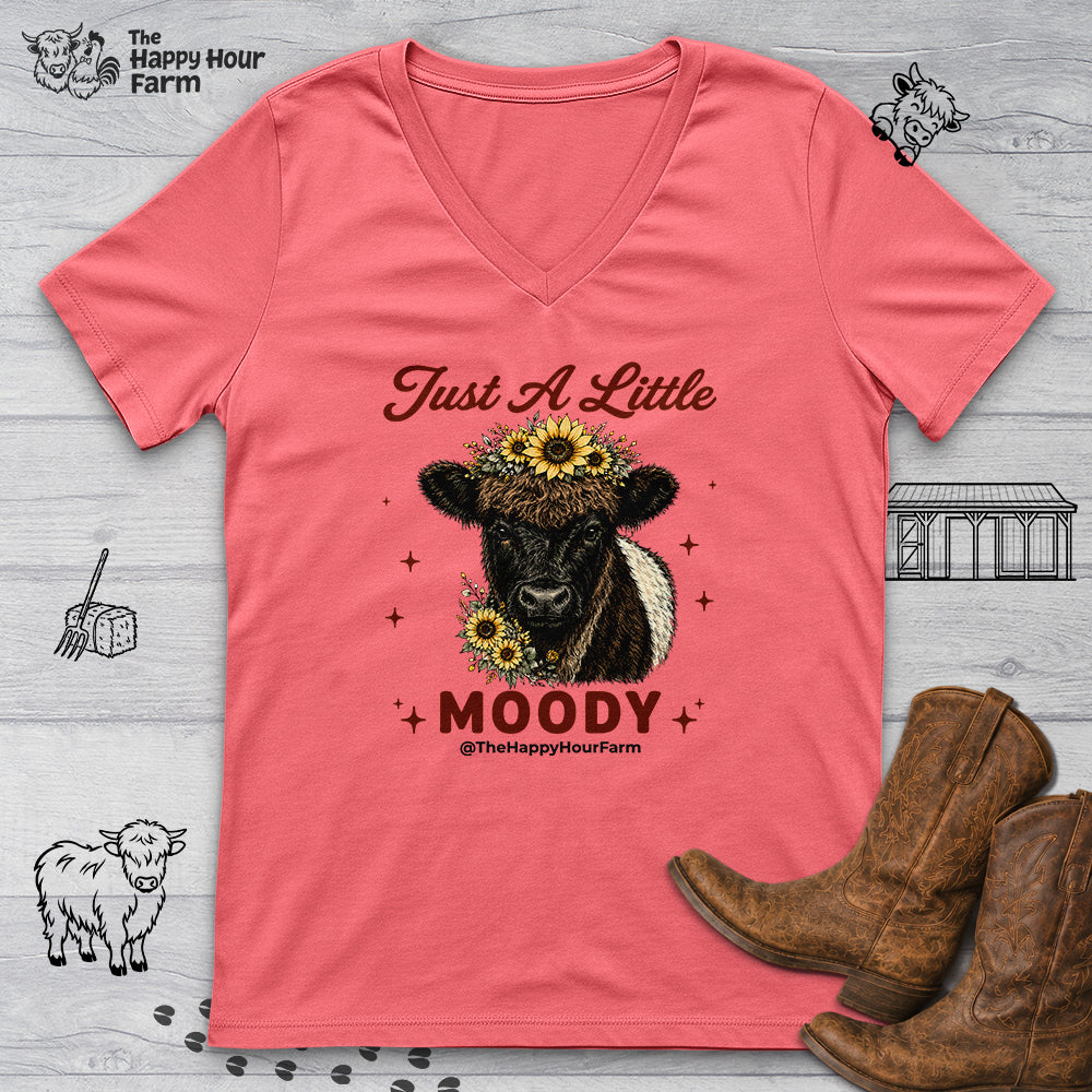 Just a Little Moody 2 V-Neck Tee