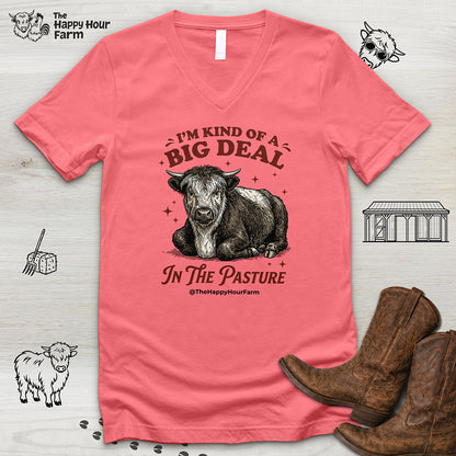 I'm Kind Of a Big Deal V-Neck Tee