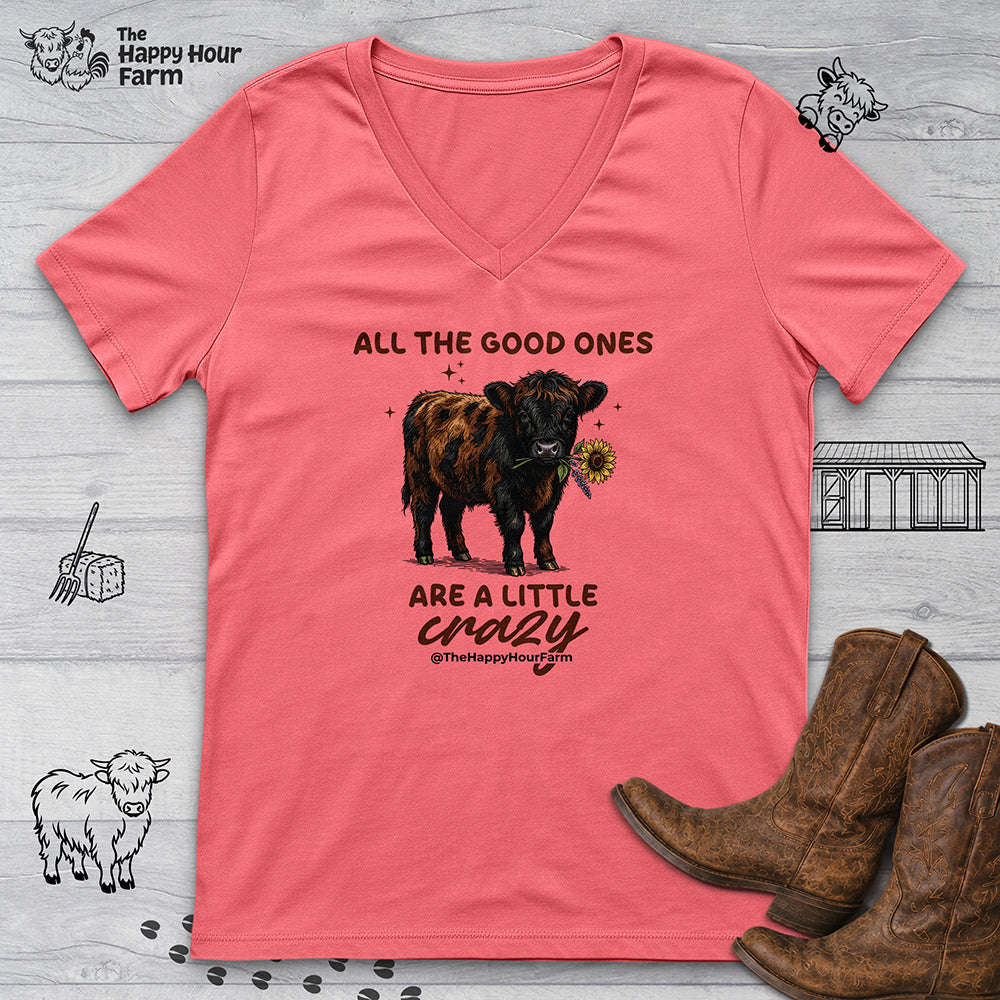 All the Good Ones Are a Little Crazy  V-Neck Tee