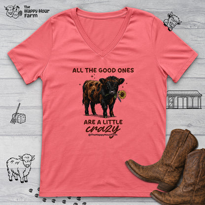 All the Good Ones Are a Little Crazy  V-Neck Tee