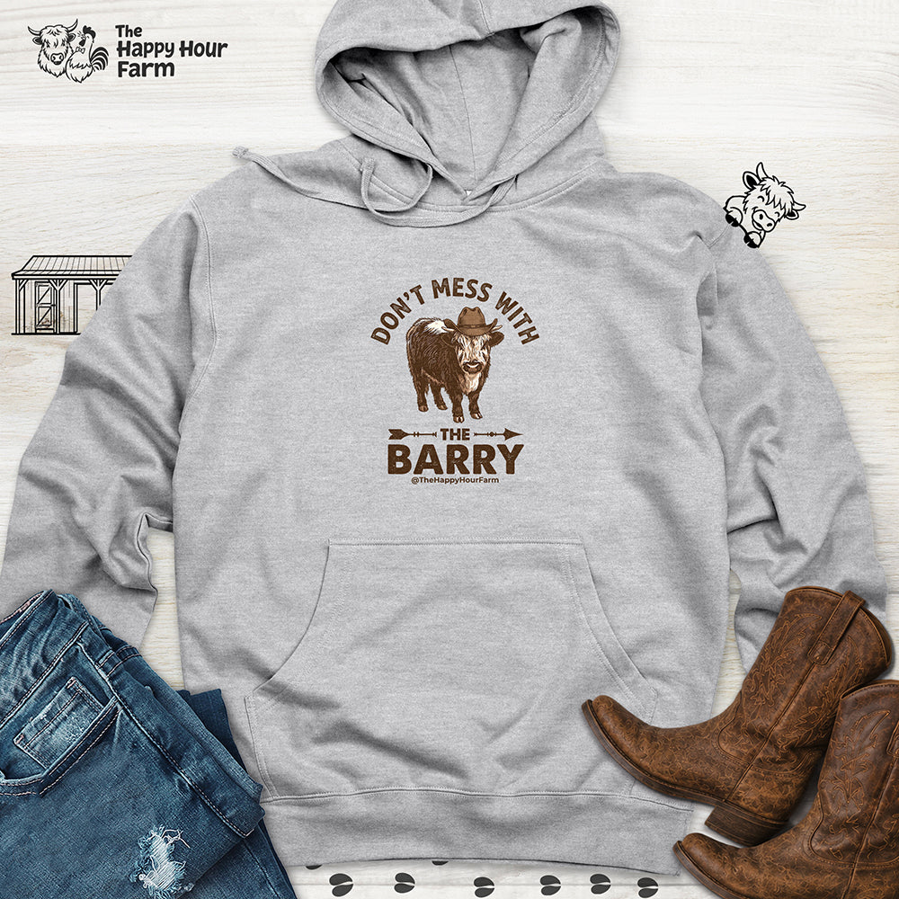 Don't Mess With the Barry Hooded Sweatshirt