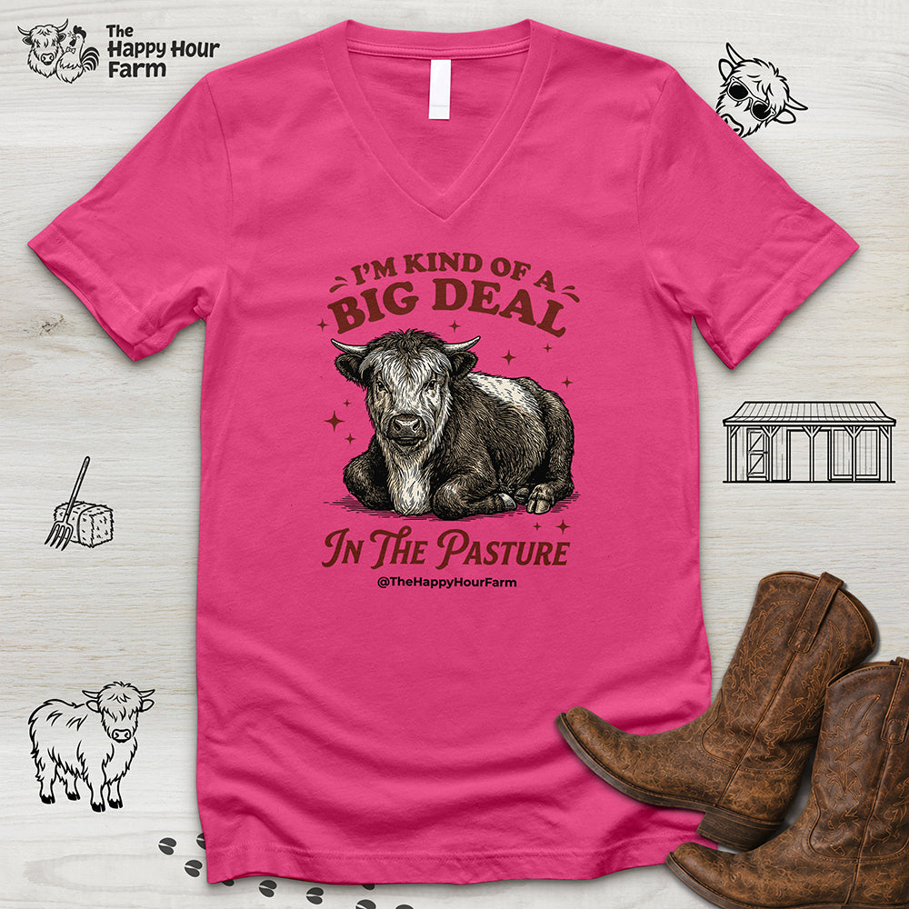 I'm Kind Of a Big Deal V-Neck Tee
