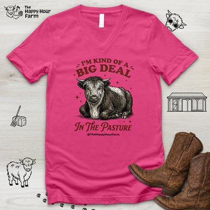 I'm Kind Of a Big Deal V-Neck Tee