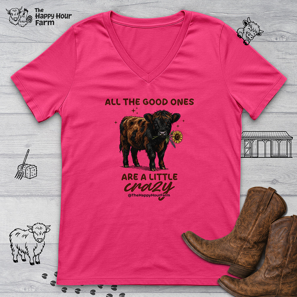 All the Good Ones Are a Little Crazy  V-Neck Tee