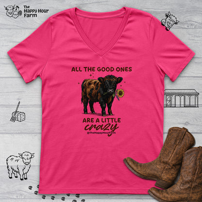 All the Good Ones Are a Little Crazy  V-Neck Tee