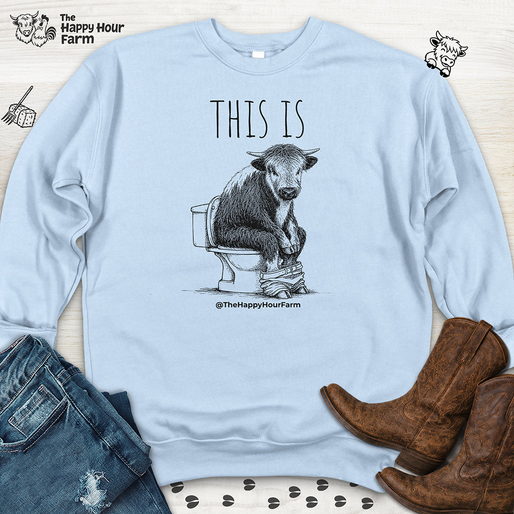 This Is Barry Sweatshirt