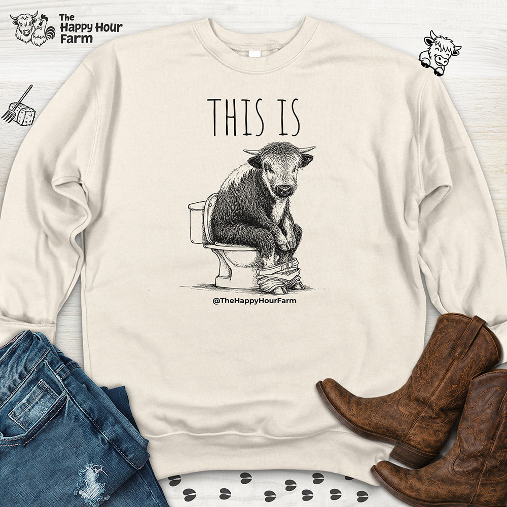 This Is Barry Sweatshirt