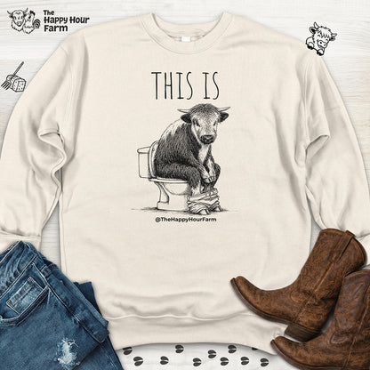 This Is Barry Sweatshirt