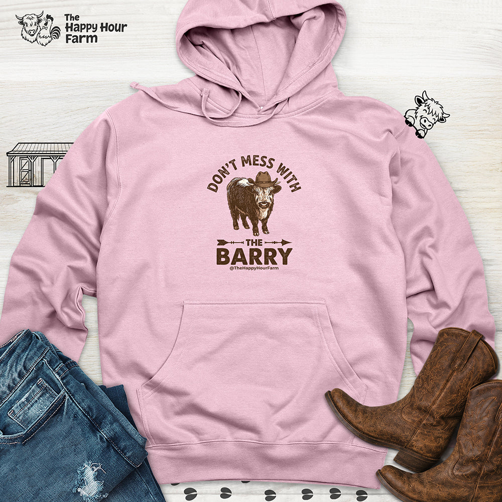 Don't Mess With the Barry Hooded Sweatshirt
