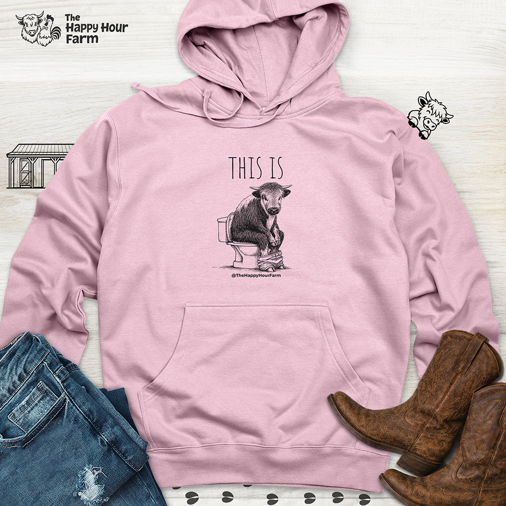 This Is Barry Hooded Sweatshirt