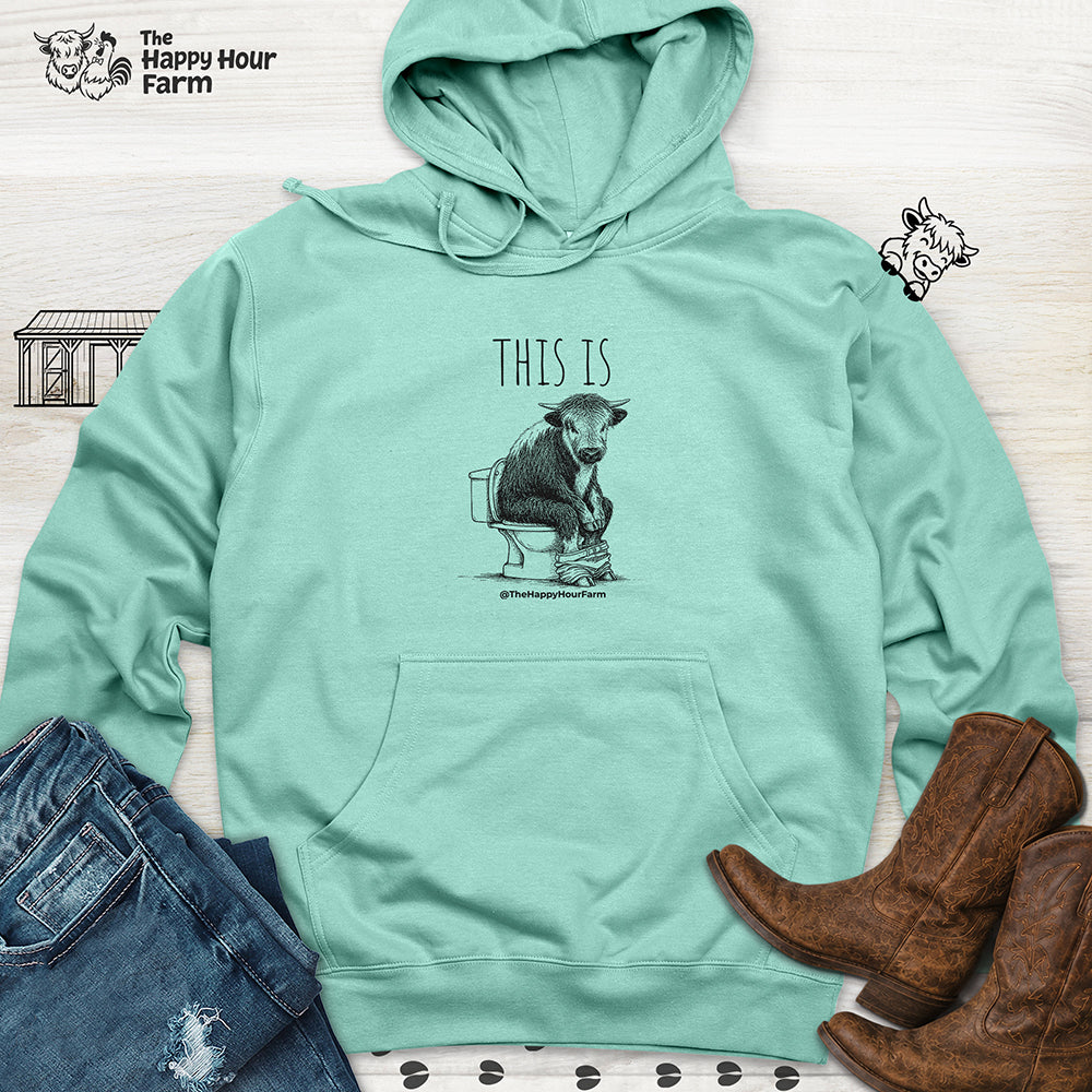 This Is Barry Hooded Sweatshirt