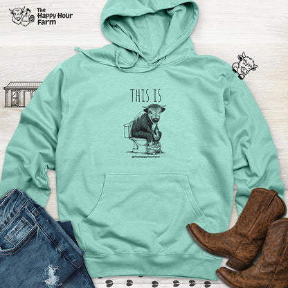 This Is Barry Hooded Sweatshirt