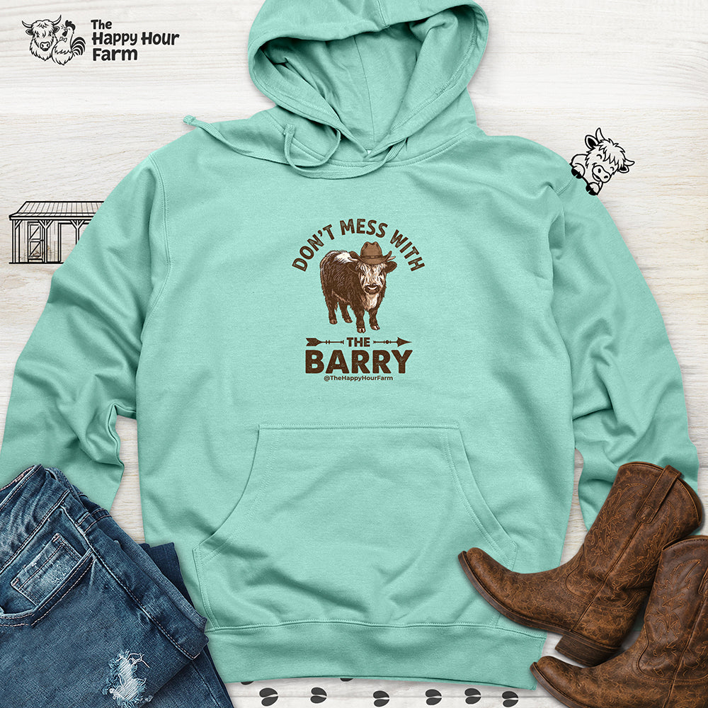 Don't Mess With the Barry Hooded Sweatshirt