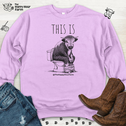 This Is Barry Sweatshirt