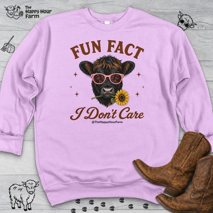 Fun Fact I Don't Care Sweatshirt