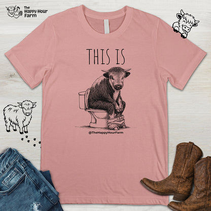 This Is Barry Unisex Tee