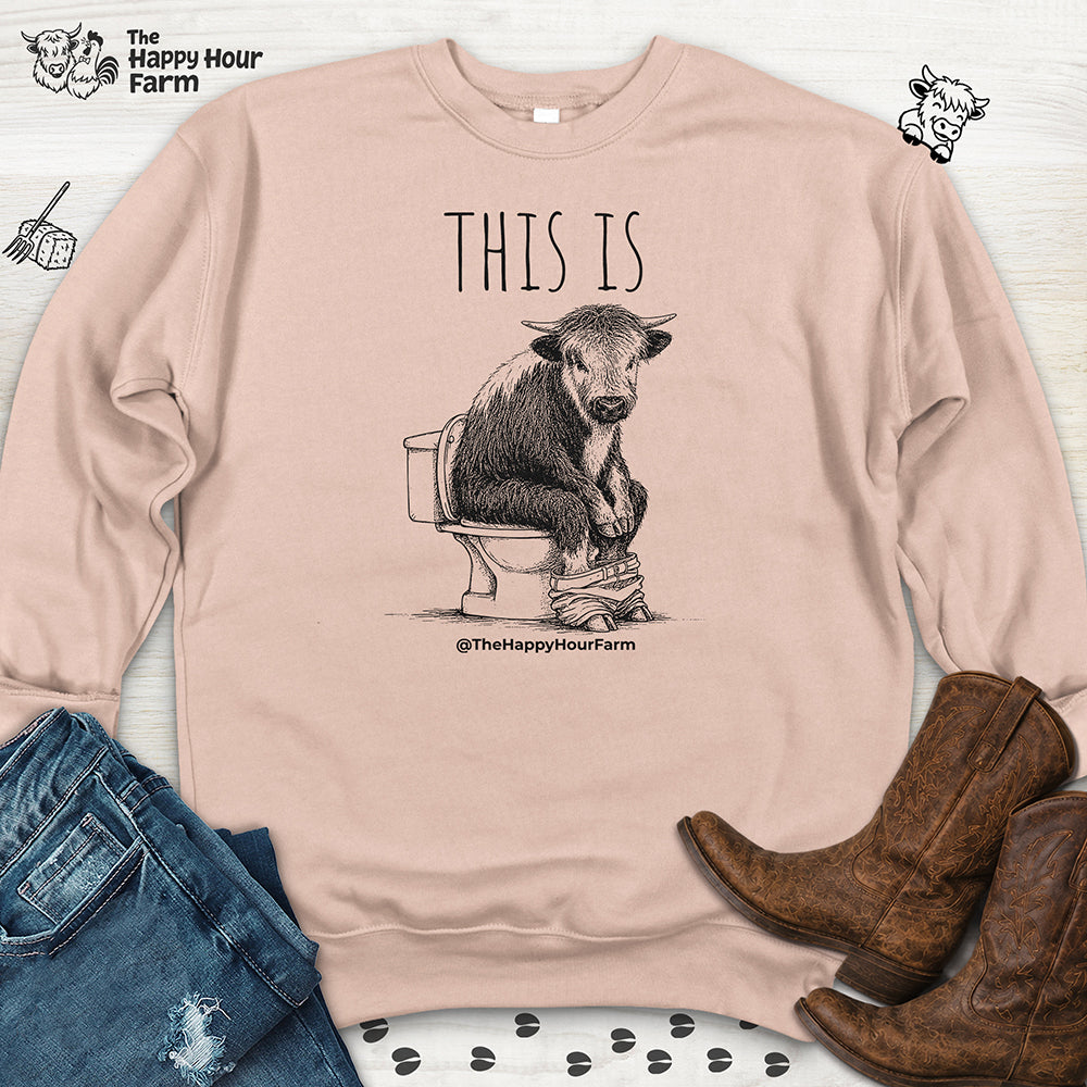 This Is Barry Sweatshirt