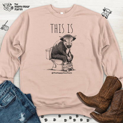 This Is Barry Sweatshirt