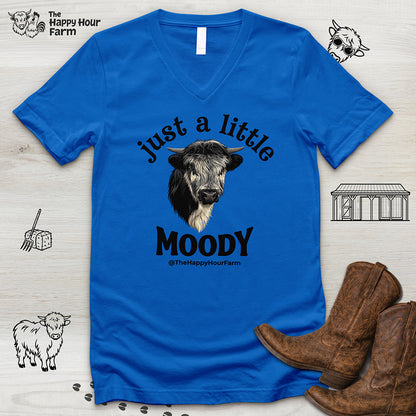 Just a Little Moody V-Neck Tee