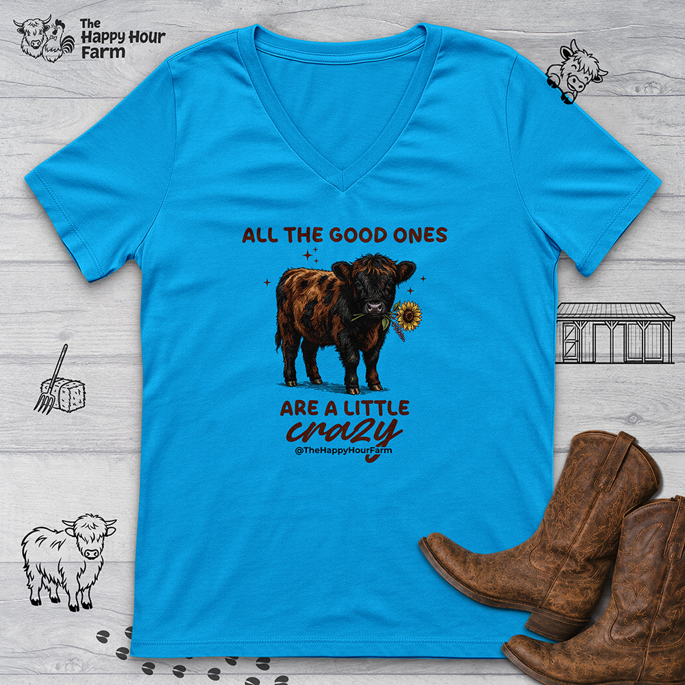 All the Good Ones Are a Little Crazy  V-Neck Tee