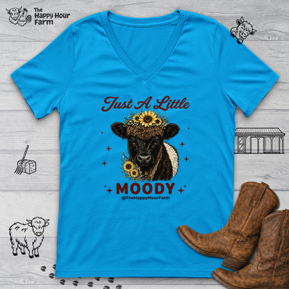Just a Little Moody 2 V-Neck Tee