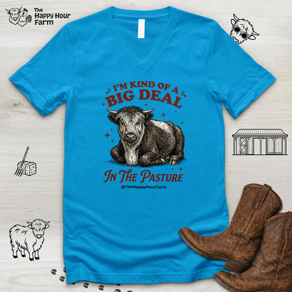 I'm Kind Of a Big Deal V-Neck Tee