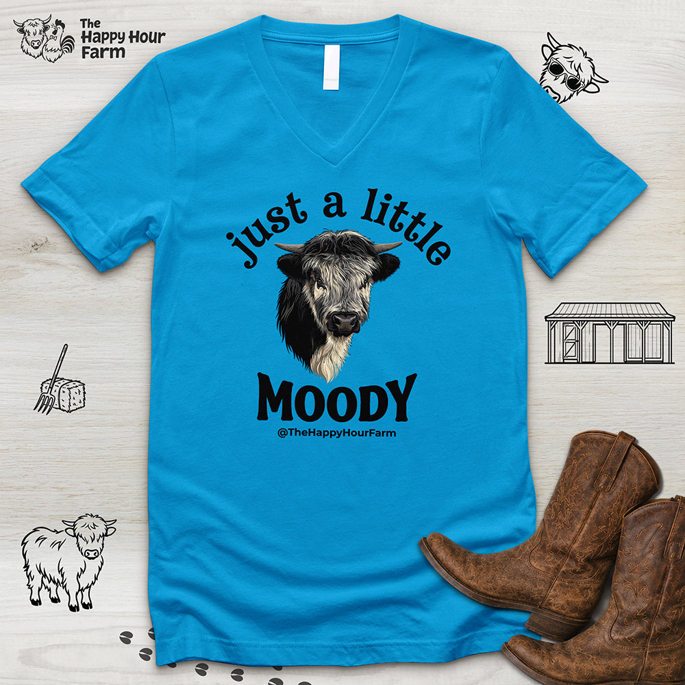 Just a Little Moody V-Neck Tee