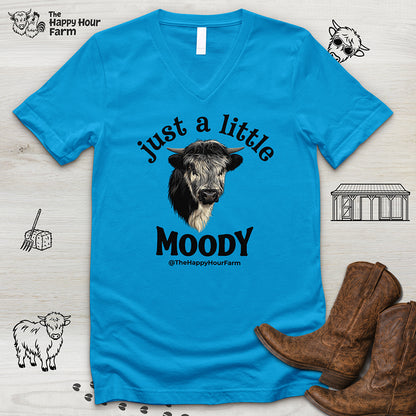 Just a Little Moody V-Neck Tee