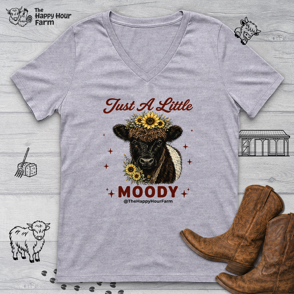 Just a Little Moody 2 V-Neck Tee