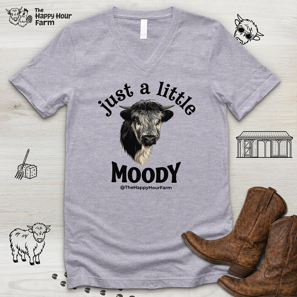 Just a Little Moody V-Neck Tee