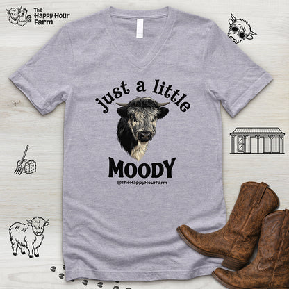 Just a Little Moody V-Neck Tee