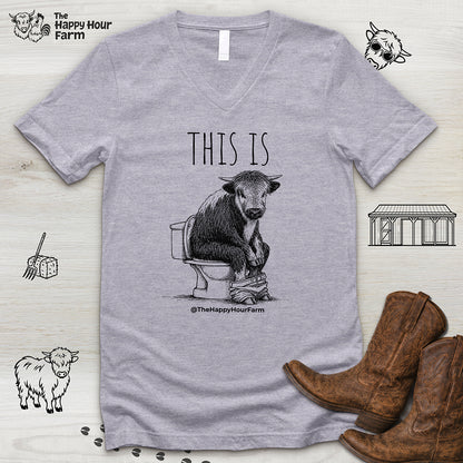 This Is Barry V-Neck Tee