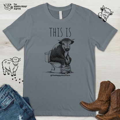 This Is Barry Unisex Tee