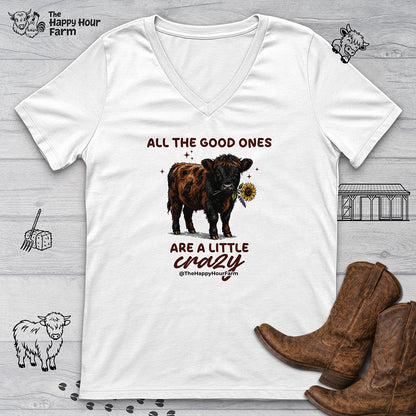 All the Good Ones Are a Little Crazy  V-Neck Tee