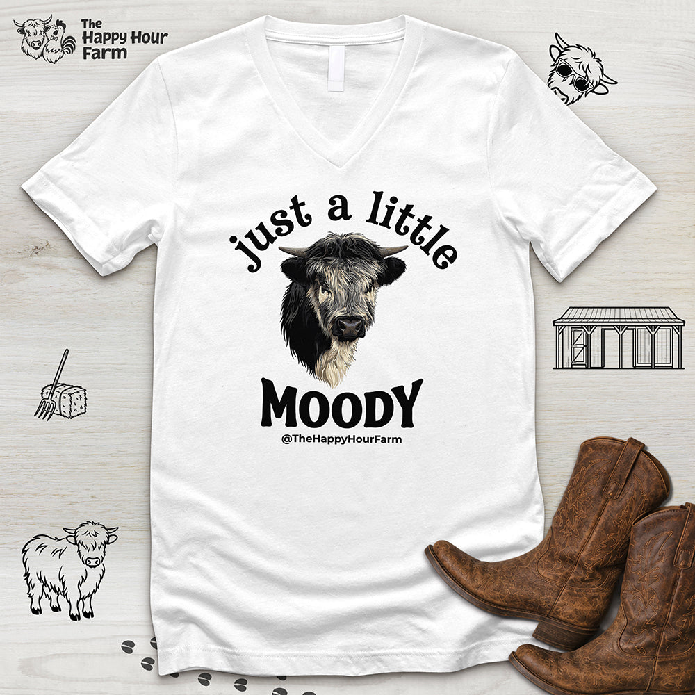 Just a Little Moody V-Neck Tee