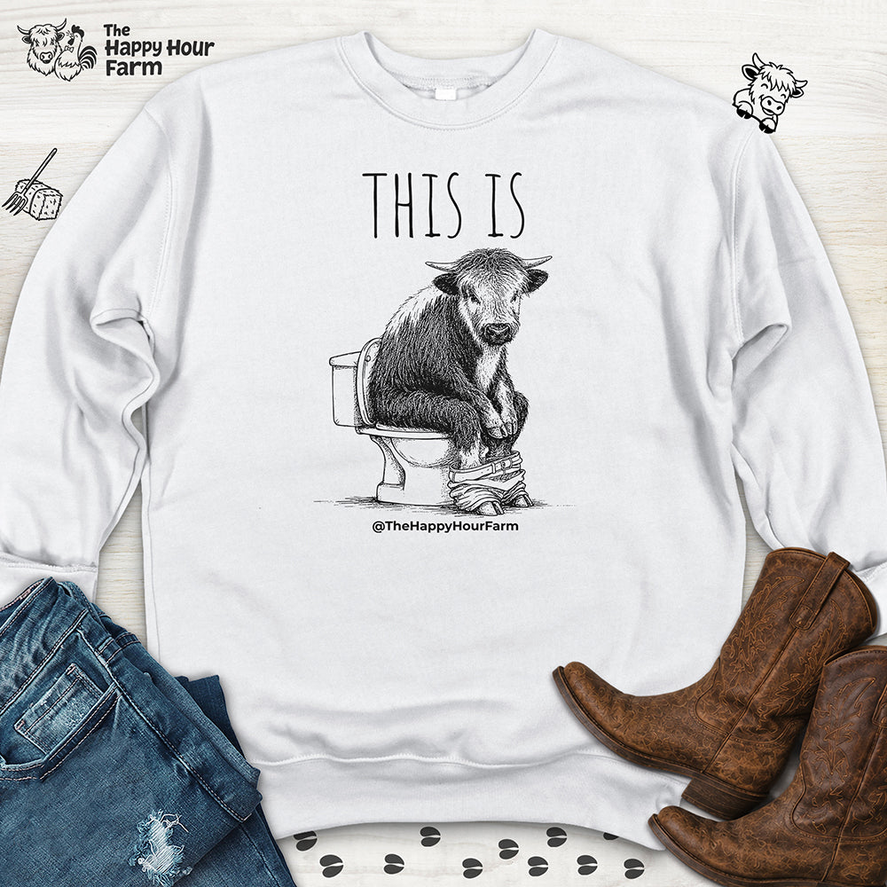 This Is Barry Sweatshirt